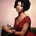 Ziva Rodann Glamour Elegant Red Dress Rose Vintage Samar 1962
